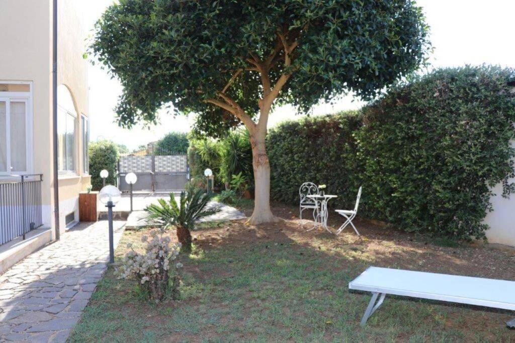 Villa Cavalluccio Marino Con Piscina Idromassaggio Carini Ngoại thất bức ảnh